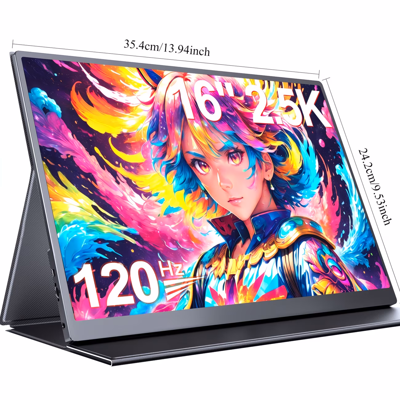  Portable Monitor 