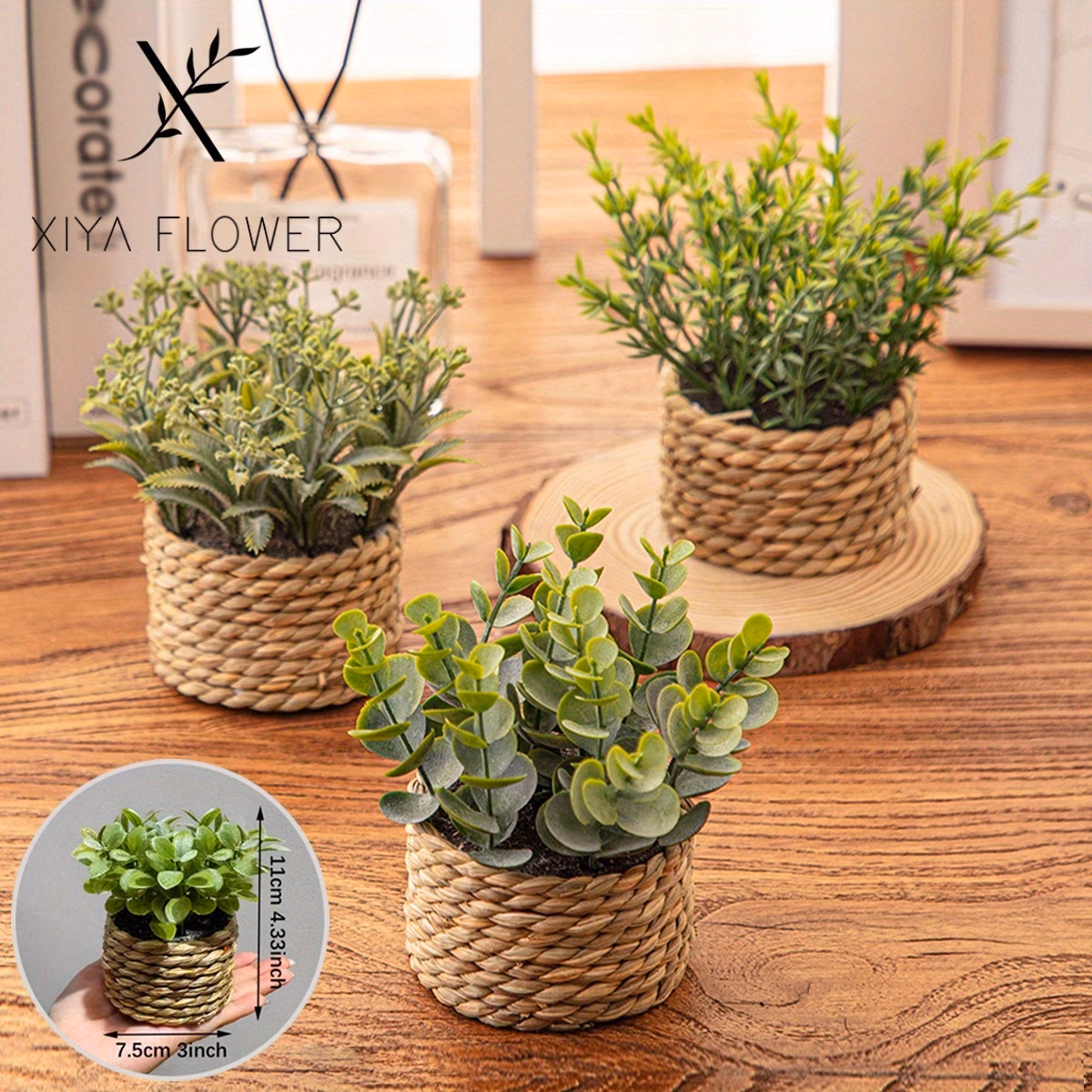  Mini Potted Plants
