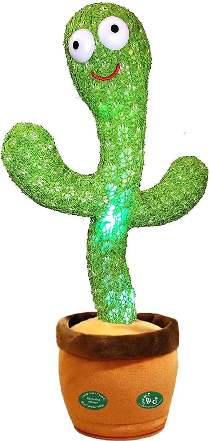 Booh dancing cactus 