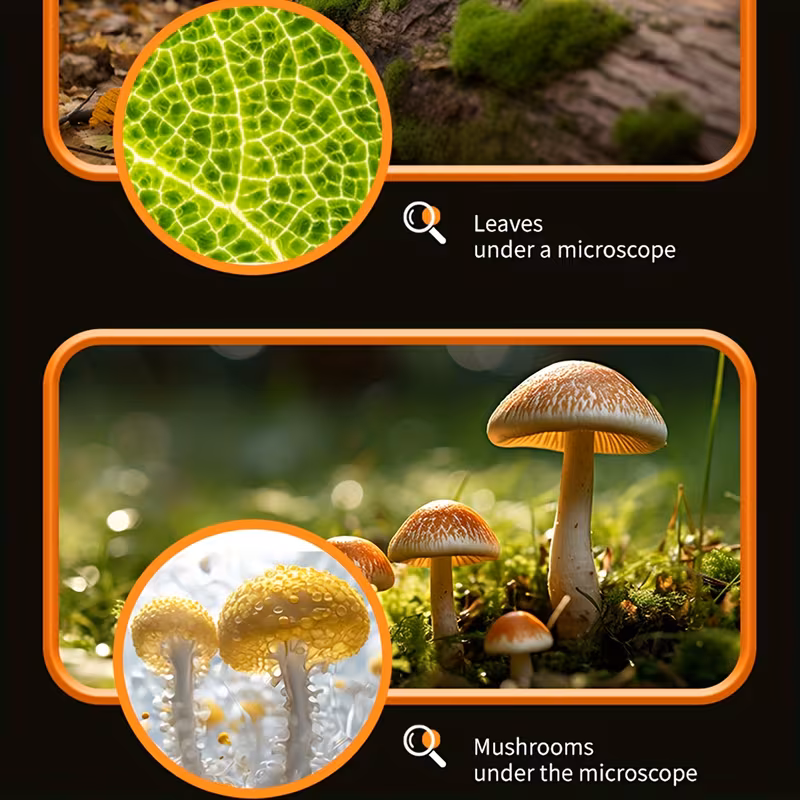 Portable Handheld Microscope
