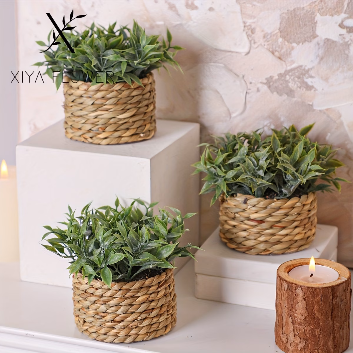  Mini Potted Plants
