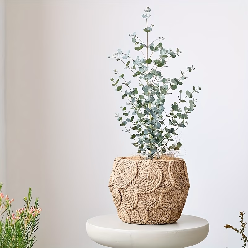  Flower Pot