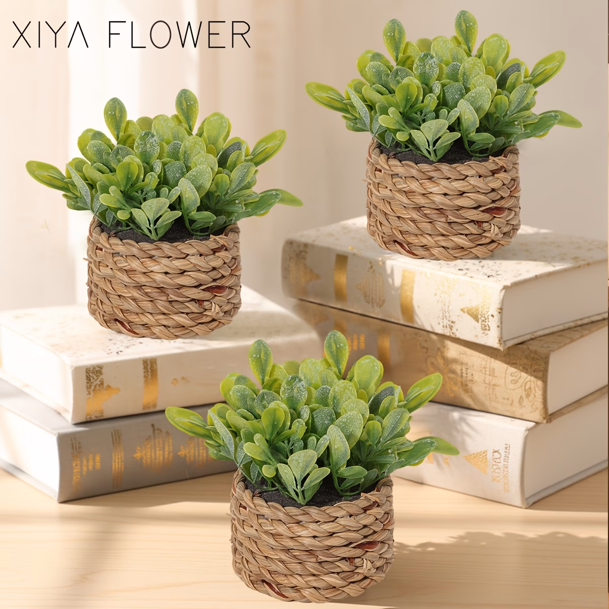  Mini Potted Plants