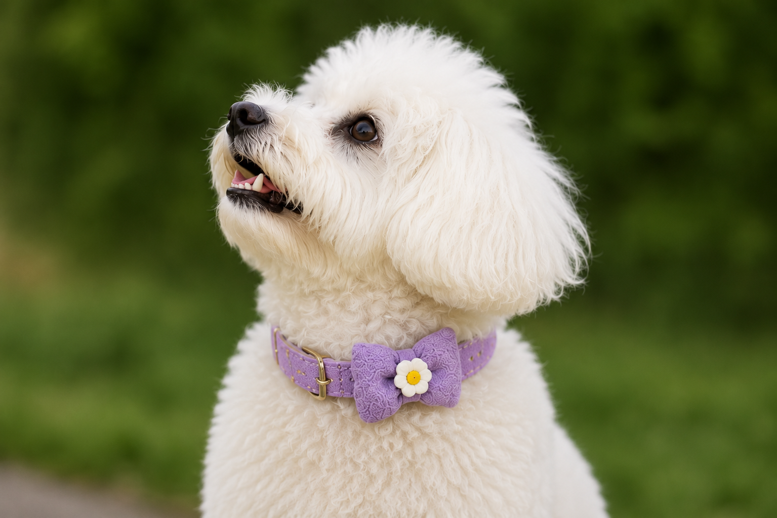 Pet Neck Ribbon