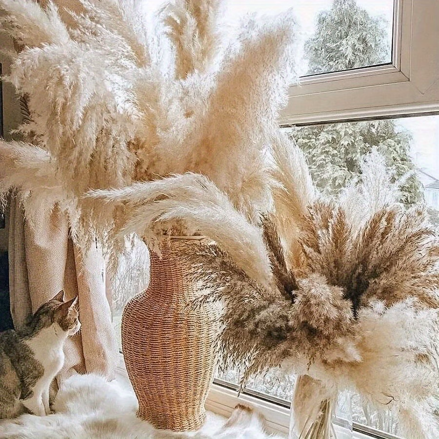  Fluffy Pampas Grass